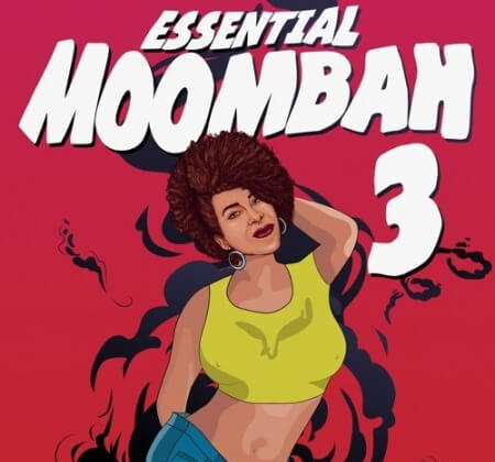 Retrohandz Essential Moombah 3 WAV MiDi Synth Presets